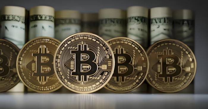 Bitcoin as Inflation Hedge: History Repeats